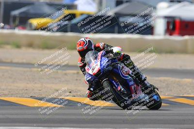 media/Mar-12-2023-SoCal Trackdays (Sun) [[d4c8249724]]/Turn 2 (1130am)/